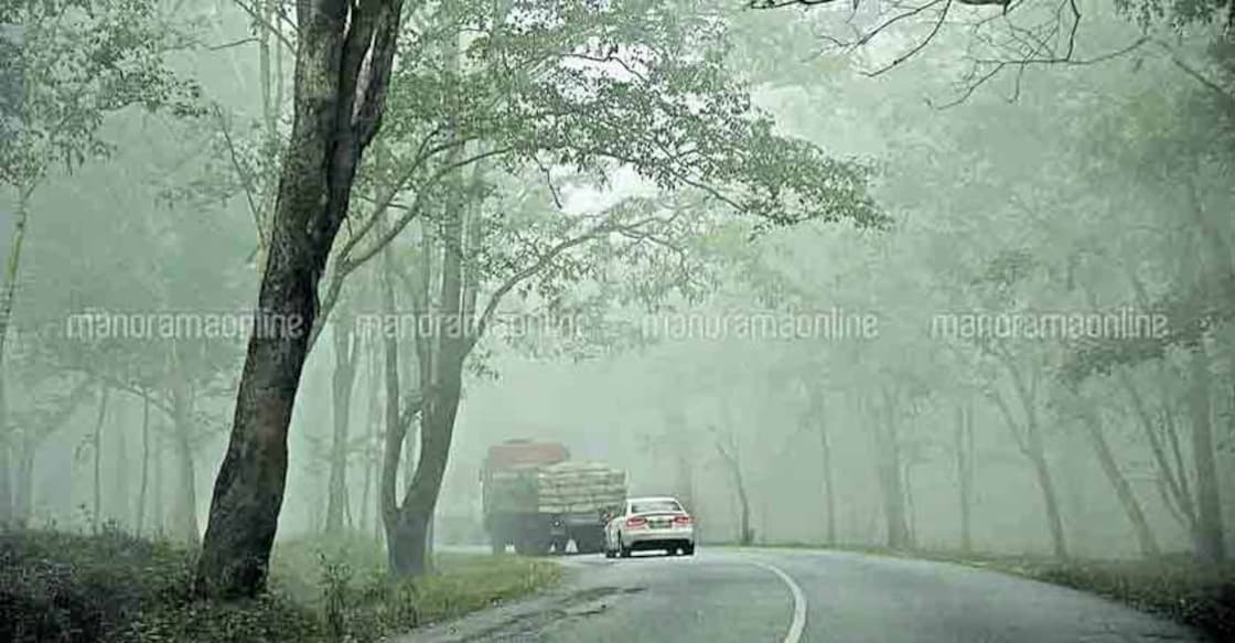wayanad-morning