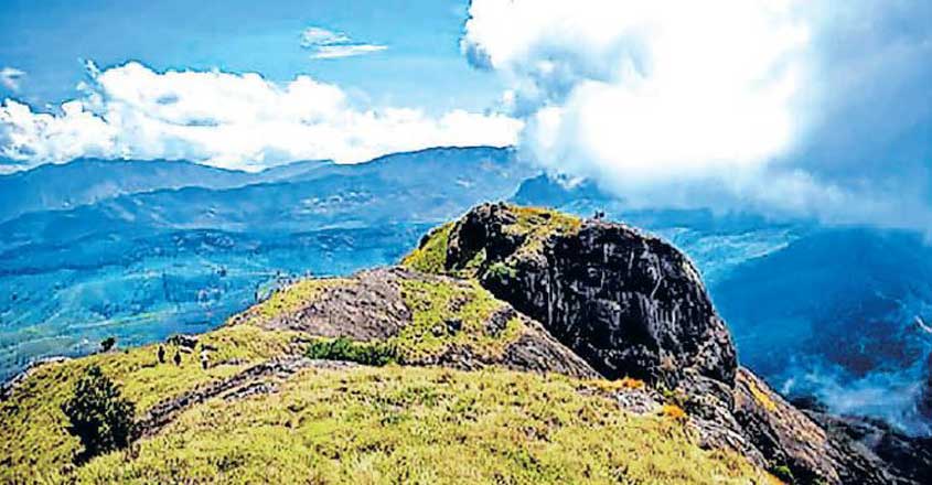 Forest Department opens Chokramudi to travellers Forest Department opens Chokramudi to travellers