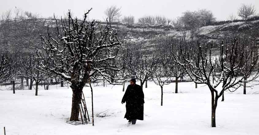 After decades, Kashmir relives its snowed-in winter After decades, Kashmir relives its snowed-in winter