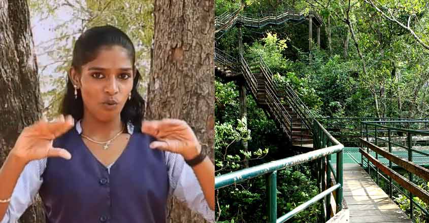 'Kerala role model in making tourism disabled-friendly'