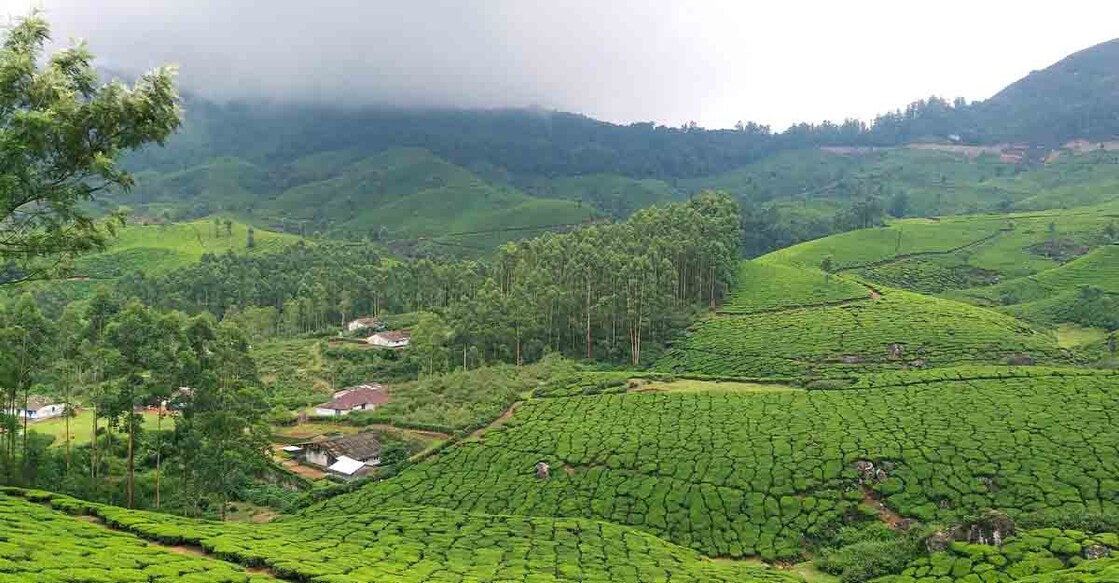 munnar-rains munnar-rains