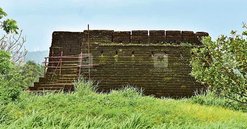 kasargod-fence-for-protection kasargod-fence-for-protection