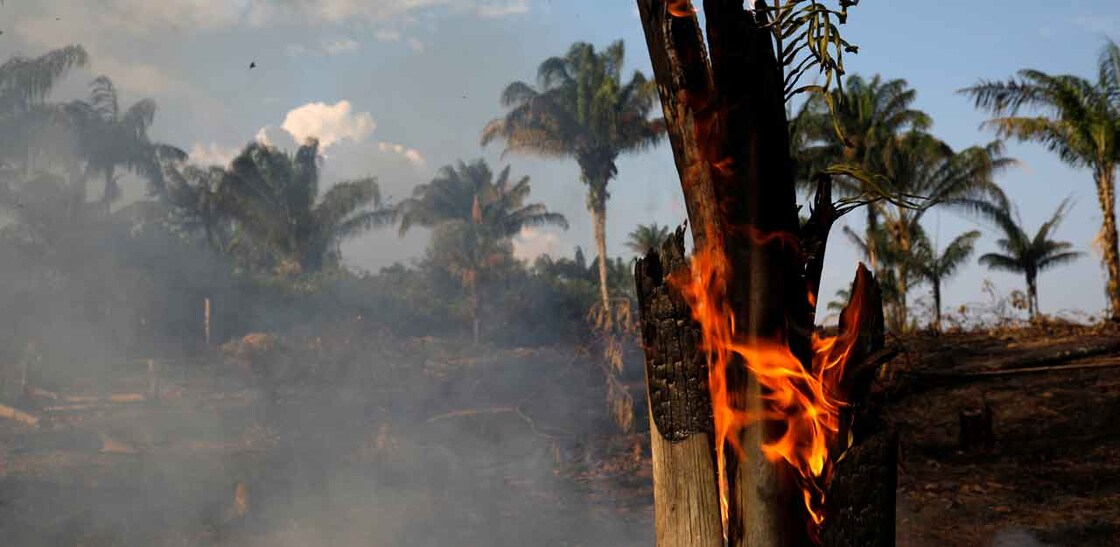 Amazon burning: Brazil reports record forest fires