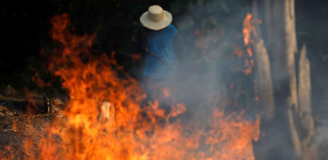 Amazon burning: Brazil reports record forest fires Amazon burning: Brazil reports record forest fires
