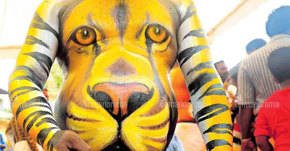 Thrissur all set to welcome the fierce tigers Thrissur all set to welcome the fierce tigers