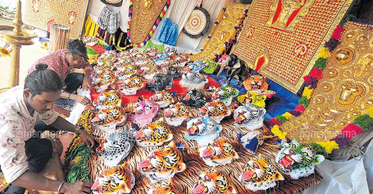 Thrissur all set to welcome the fierce tigers Thrissur all set to welcome the fierce tigers