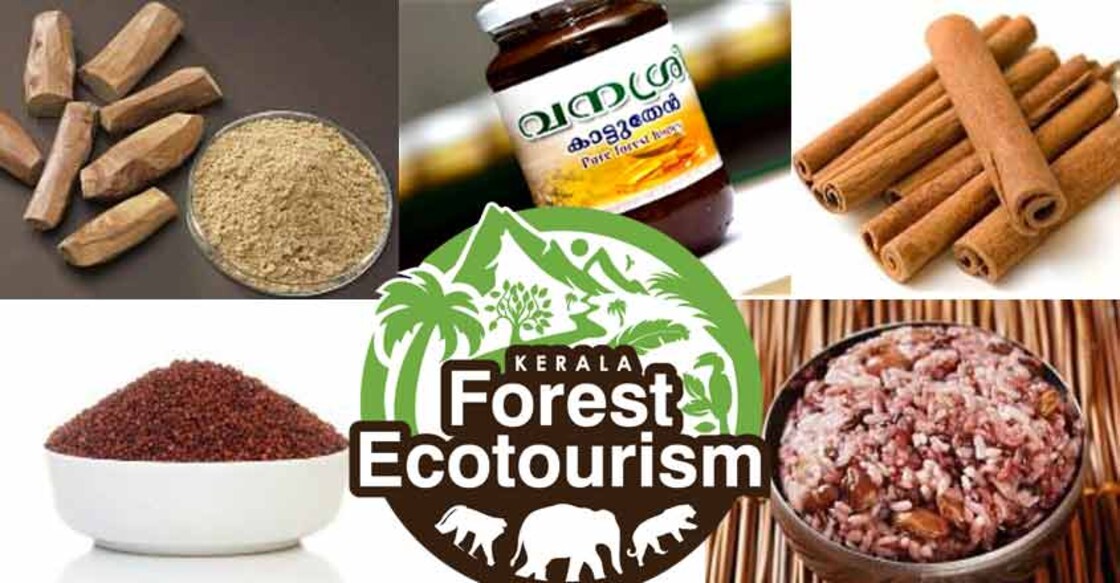 Now, eco tourism tickets and forest products available online