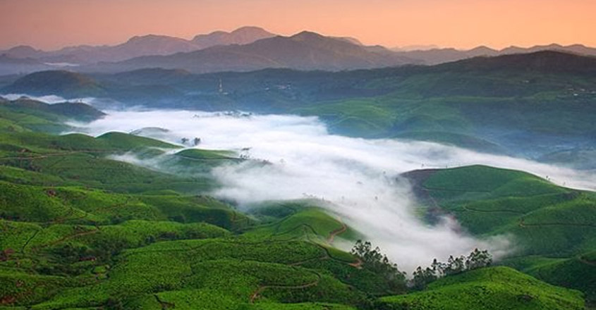 Munnar, a beauty draped in mist