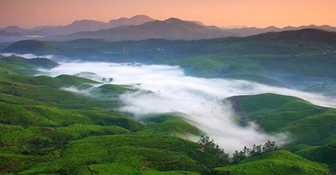 Munnar, a beauty draped in mist