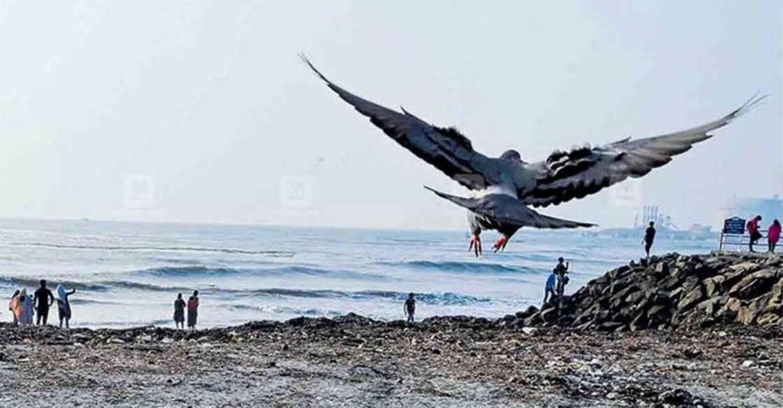 Sunny days again for tourism sector