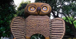 Nine lakh people undertook virtual tour of Patna Zoo in a week