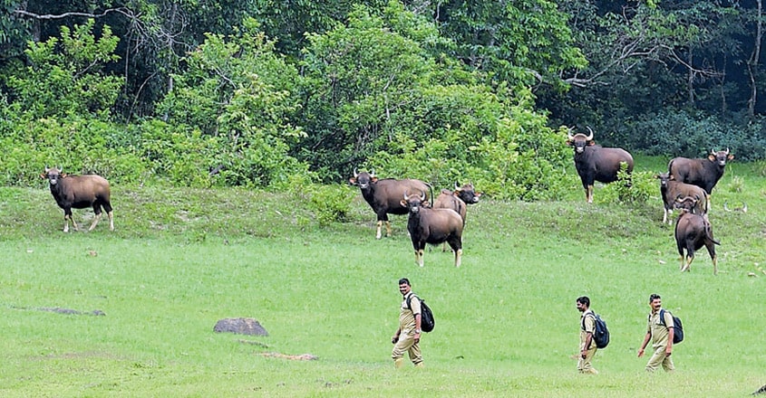 Tourism in Thekkady takes a punch after COVID-19 pandemic Tourism in Thekkady takes a punch after COVID-19 pandemic