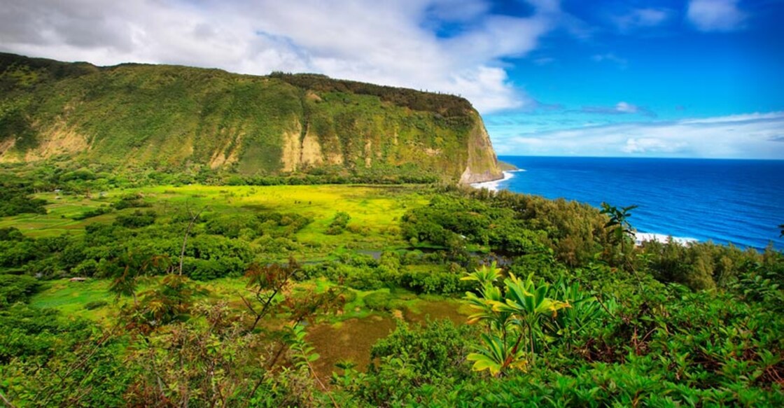 Hawaii waives quarantine for travellers with negative COVID-19 result from August 1