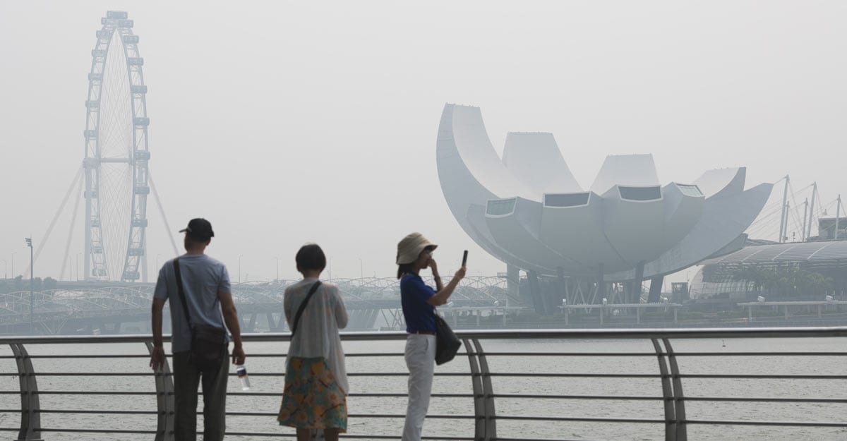 Singapore to permit resumption of tourism businesses Singapore to permit resumption of tourism businesses