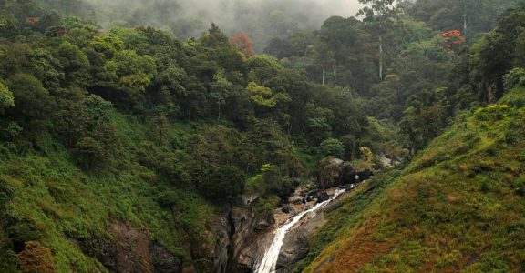 Eravikulam national park reopens for visitors after lockdown