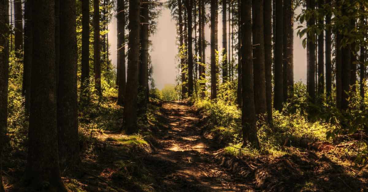 'Bhagwati Van' to be spiritual tourism hub in UP 'Bhagwati Van' to be spiritual tourism hub in UP