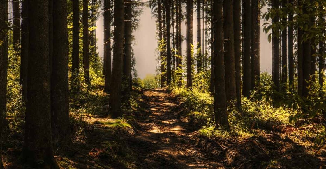 'Bhagwati Van' to be spiritual tourism hub in UP