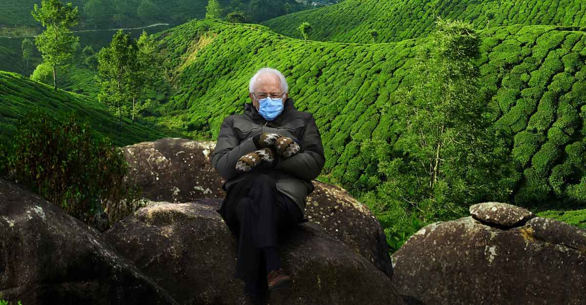When 'Bernie Sanders reached Munnar': Kerala Tourism tries the mitten meme