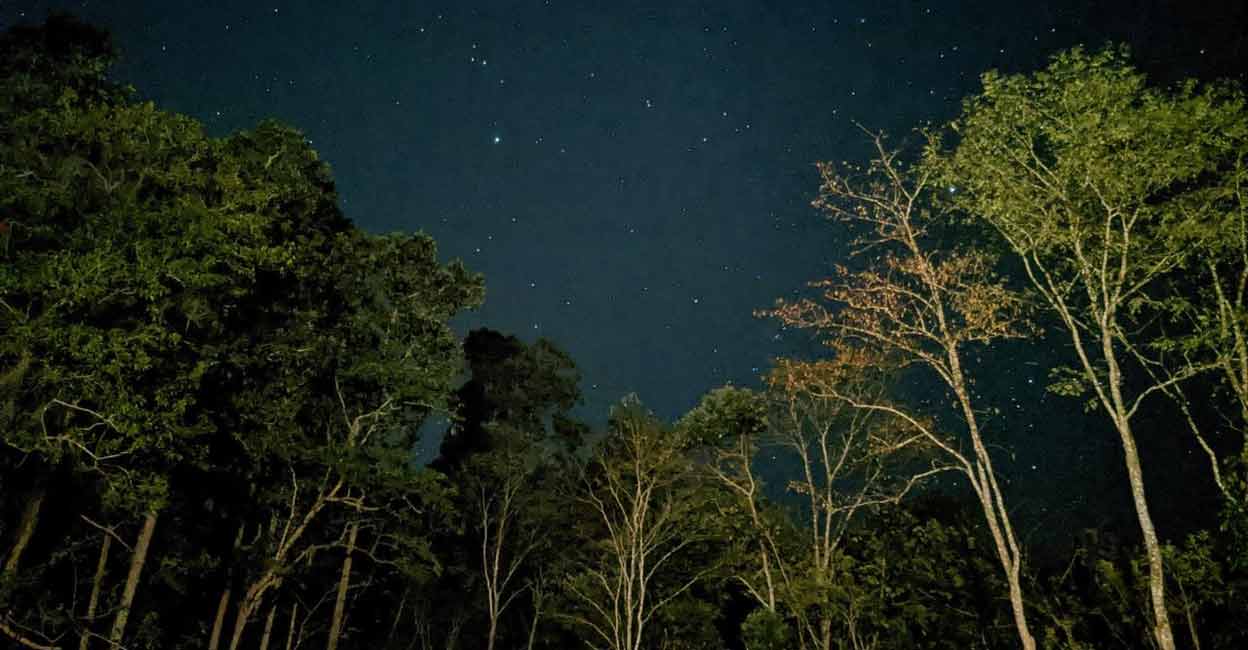 Assam to have seven National Parks now, most after Madhya Pradesh Assam to have seven National Parks now, most after Madhya Pradesh