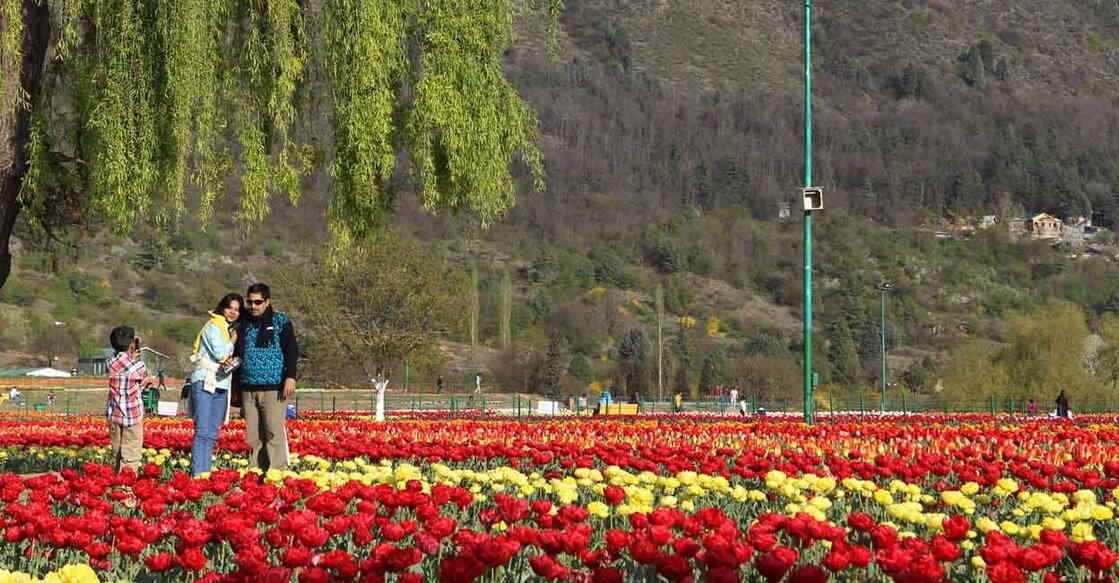 Kashmir tourism in top gear towards revival