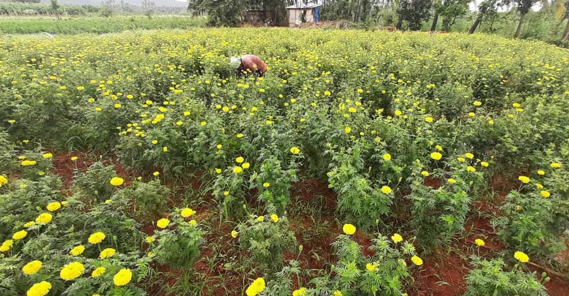 theni