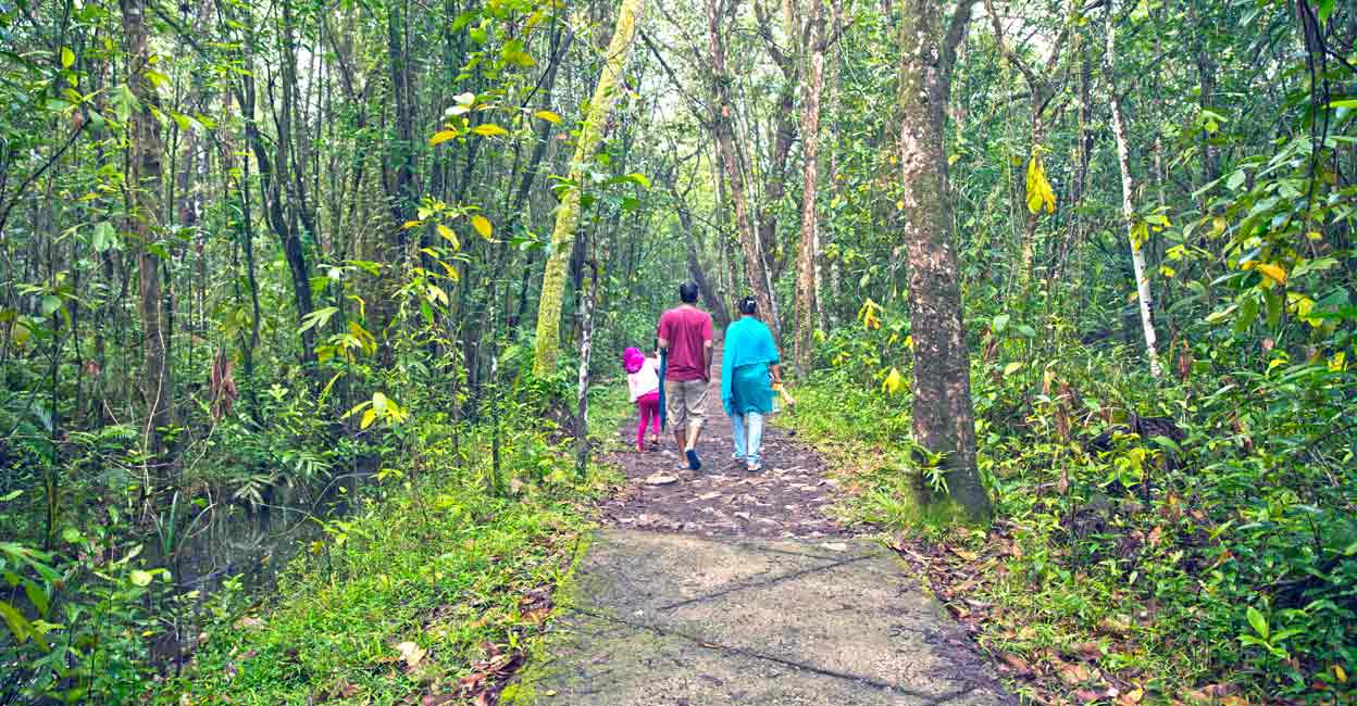Entry fee to Kumarakom bird sanctuary hiked Entry fee to Kumarakom bird sanctuary hiked
