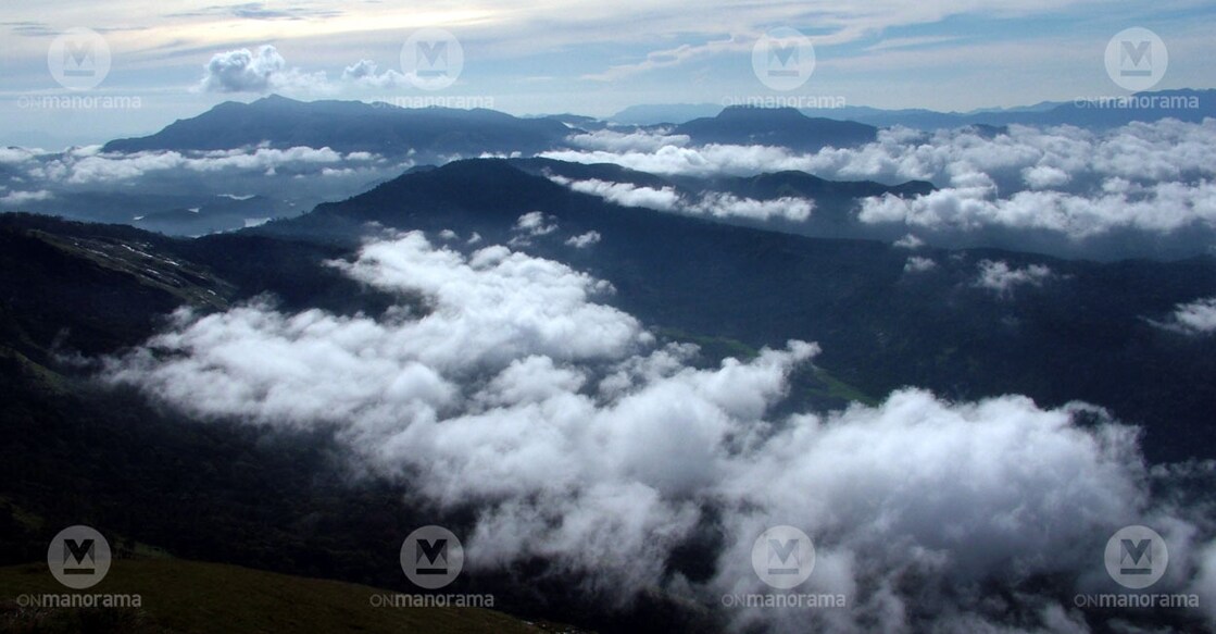 Munnar draped with a misty shroud. Photo: Manorama