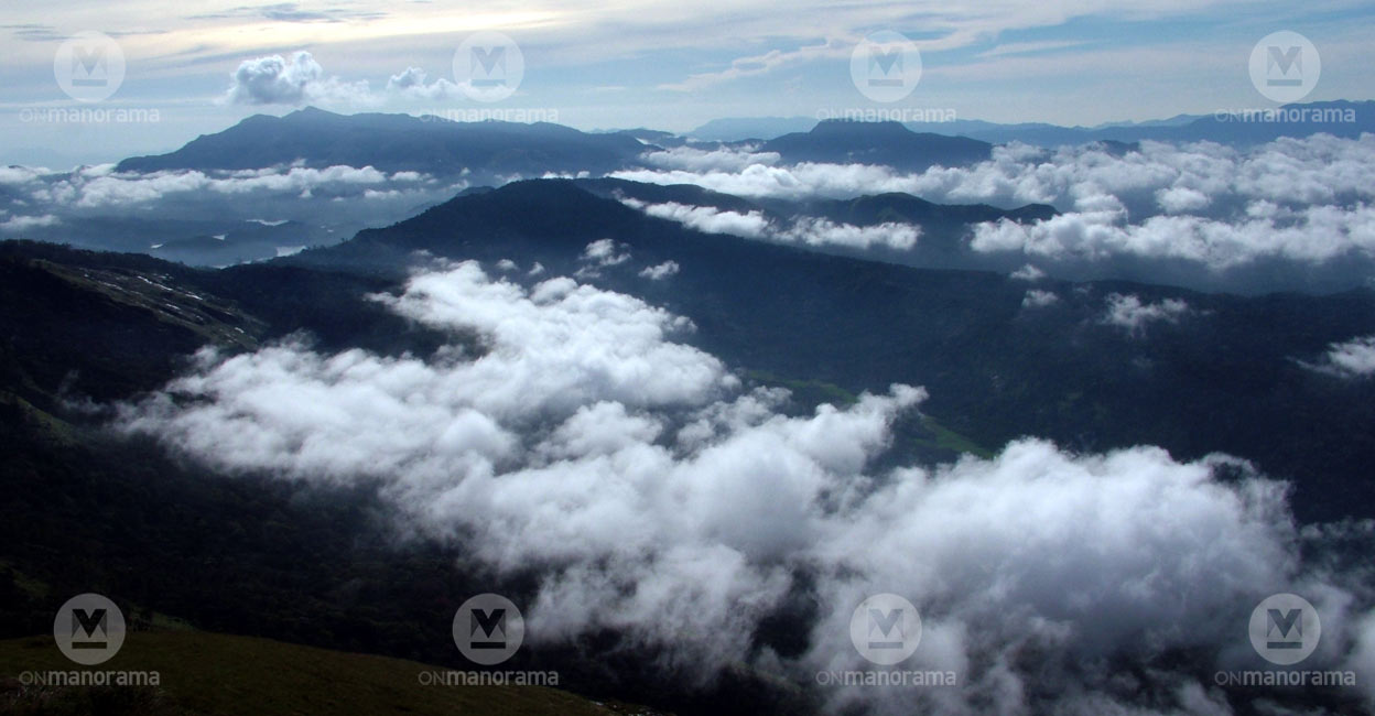 Munnar draped with a misty shroud. Photo: Manorama