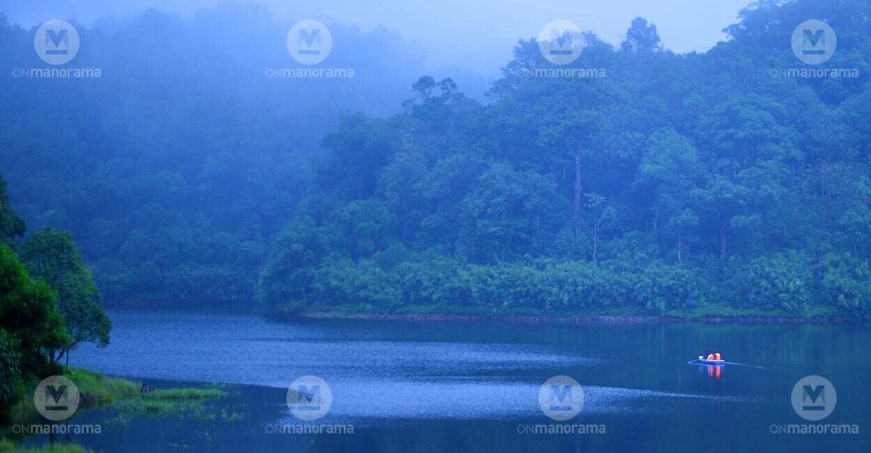 Misty Gavi. Photo: Manorama/Nikhilraj