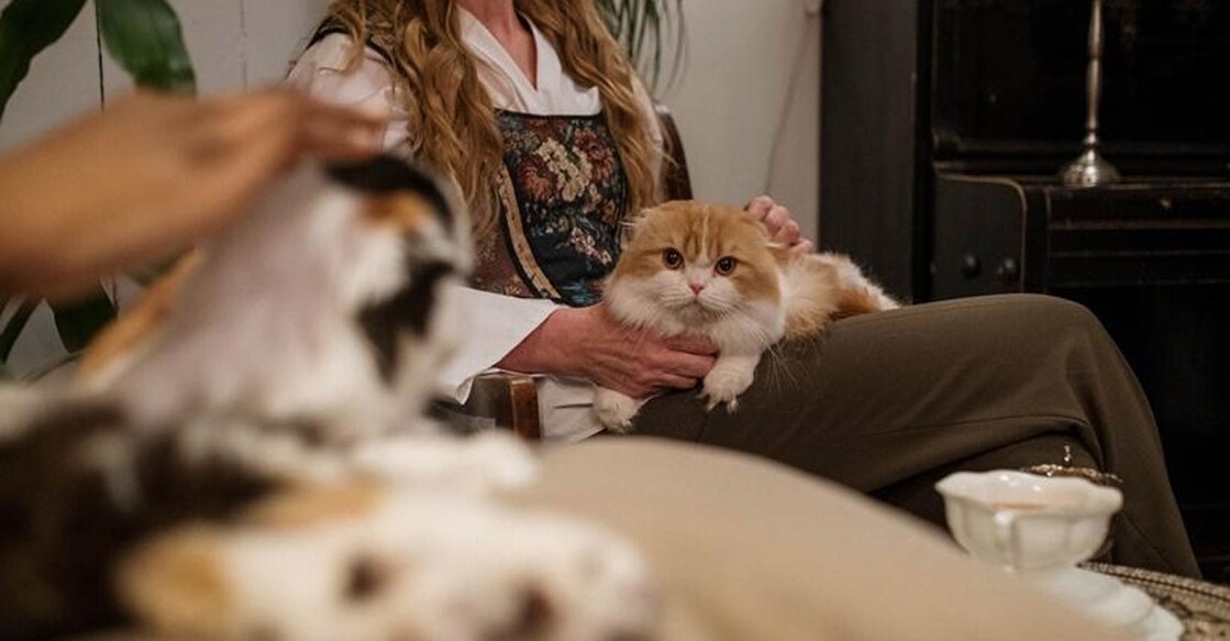 Moving a pet can be tough, but good management can help you relax and spend a good time with them: IANS