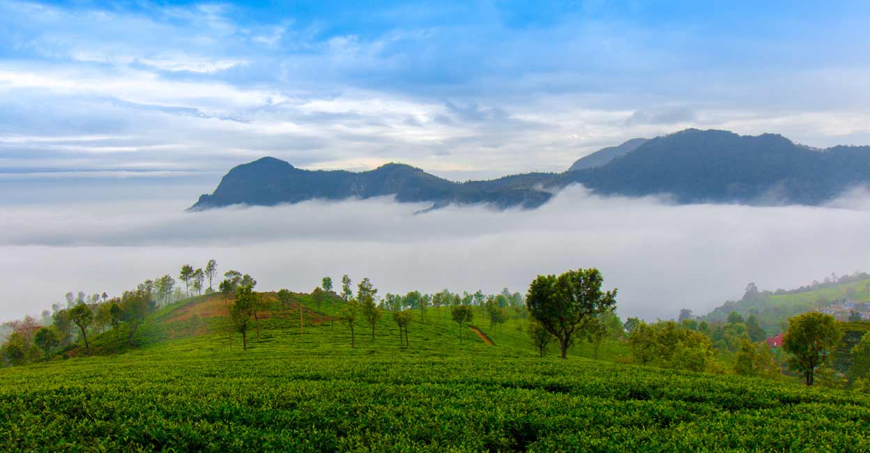 ooty-2 Photo: Shutterstock/Ashok Rao