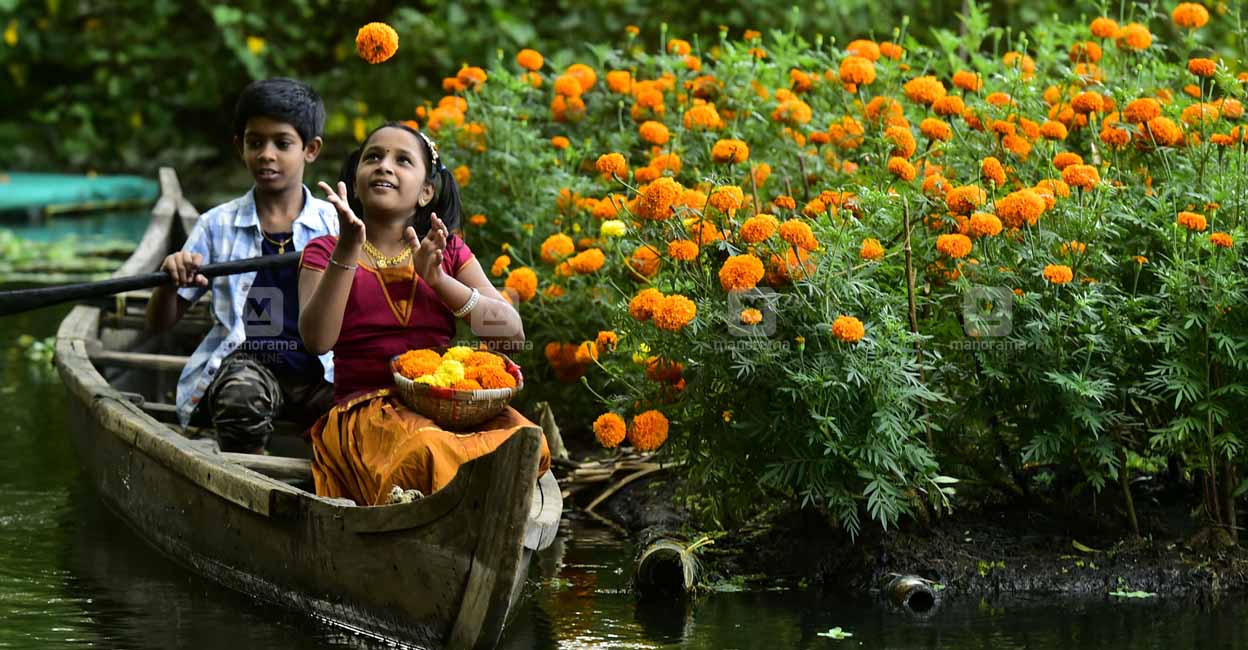 pilleronam-pookkalam-3 Children collecting flowers to prepare floral carpet. Photo: Manorama/Arun Sreedhar