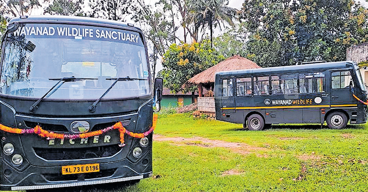Take a bus ride on the wild side in Wayanad’s Muthanga forest The brand new buses bought by the Kerala Forest and Wildlife Department for a 15km journey through the jungle in Wayanad's Muthanga. Photo: Manorama