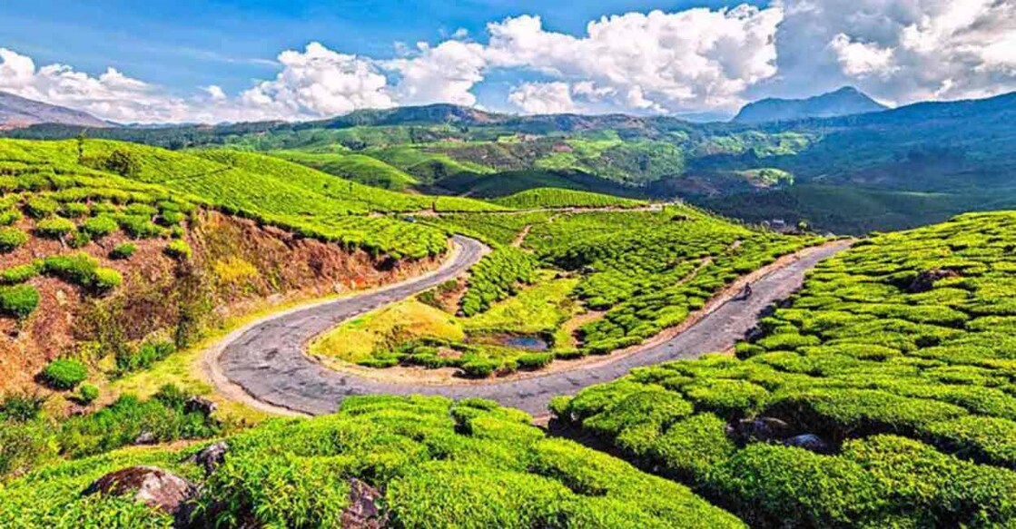 Munnar has always been one of the favourite getaways of tourists as it provided fresh vistas to the visitors.