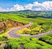 Munnar's Escape Road: The legend of an interstate highway that disappeared