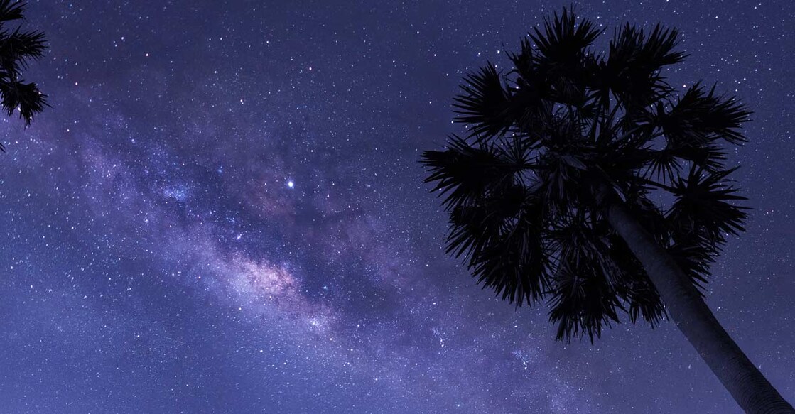 Representative image: Shutterstock/WiPhotoHunter