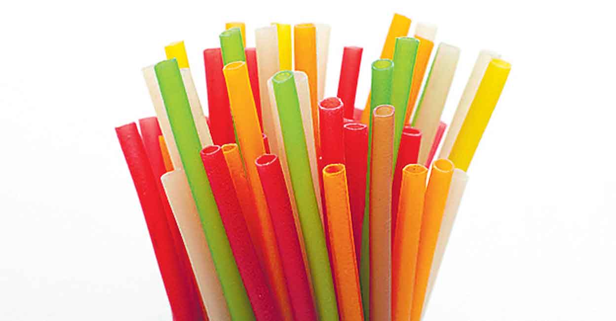 Edible plates, straws await G20 meet delegates in Kumarakom | Travel ...