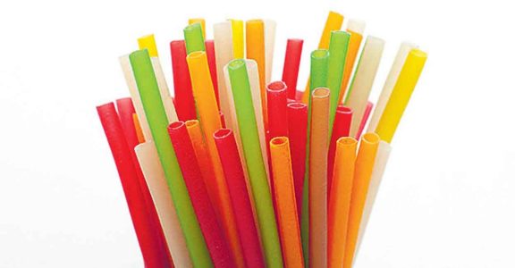 rice powder straws rice powder straws