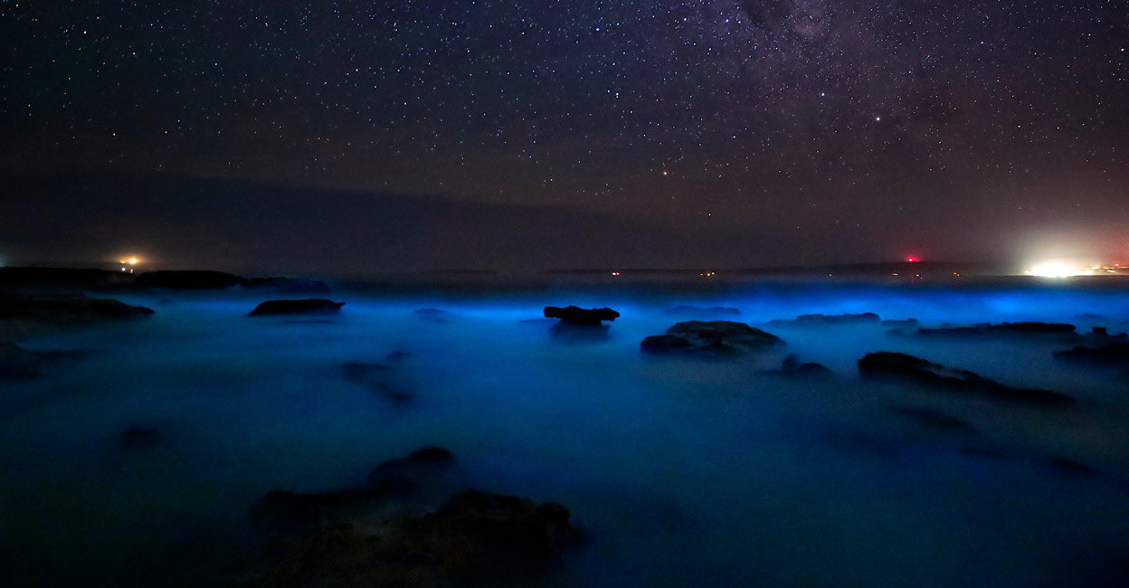 Bioluminescence in sea Bioluminescence in sea. Representative image: iStock/lovleah