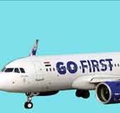 DGCA deregisters bankrupt budget carrier Go First's 54 planes