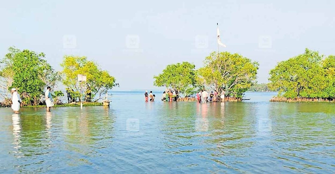 Currently, only DTPC has permission to operate the boat services to Sambranikodi Islands. Photo: Manorama