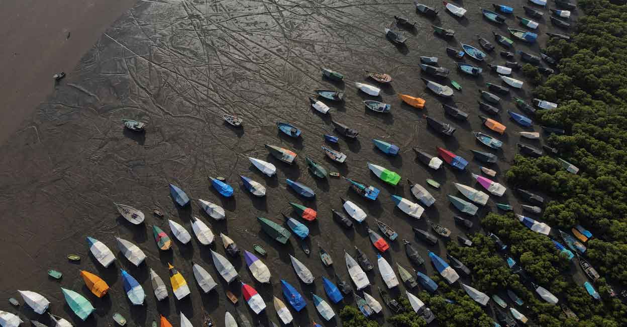 An aerial view of fishing boats covered with tarpaulin sheets parked on the shore, before the start of the monsoon season, on the outskirts of Mumbai. Photo: Reuters/Francis Mascarenhas