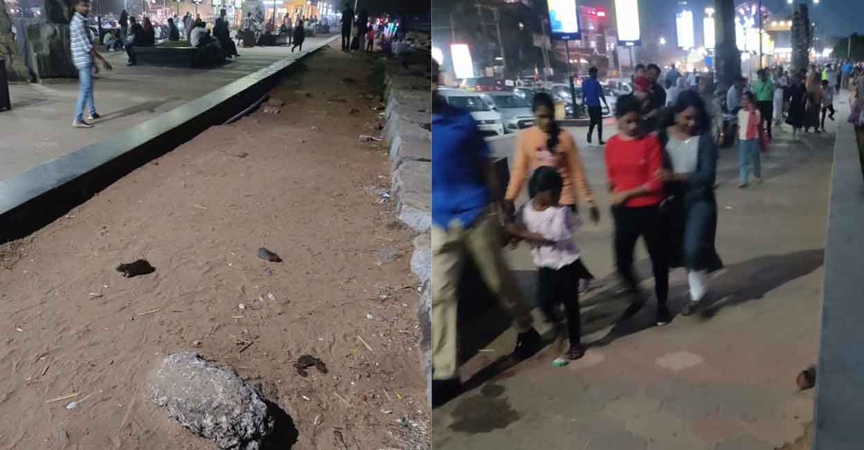 It is the food waste from the eateries and vendors that sustain the rats, said DTPC. Photo: Rehna KC