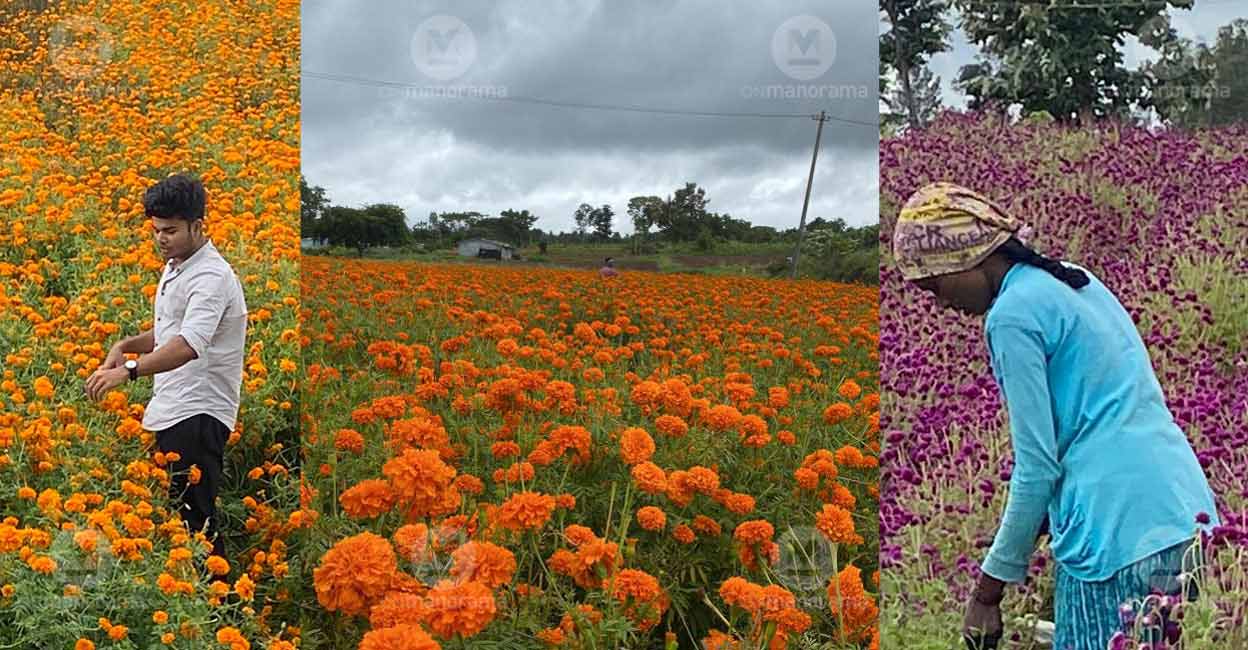 Flower power: Bloom boom for Gundlupet farmers as Onam countdown begins