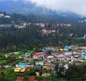 Ooty e-pass and rain: Businesses suffer, flower show uneventful