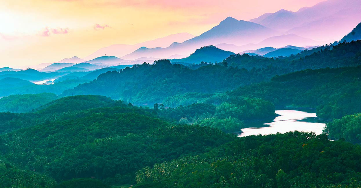 The eco and the hydel tourism centres were closed on January 20 after a wild gaur attacked tourists. Photo: iStock/SIDDHICK KANDIYIL