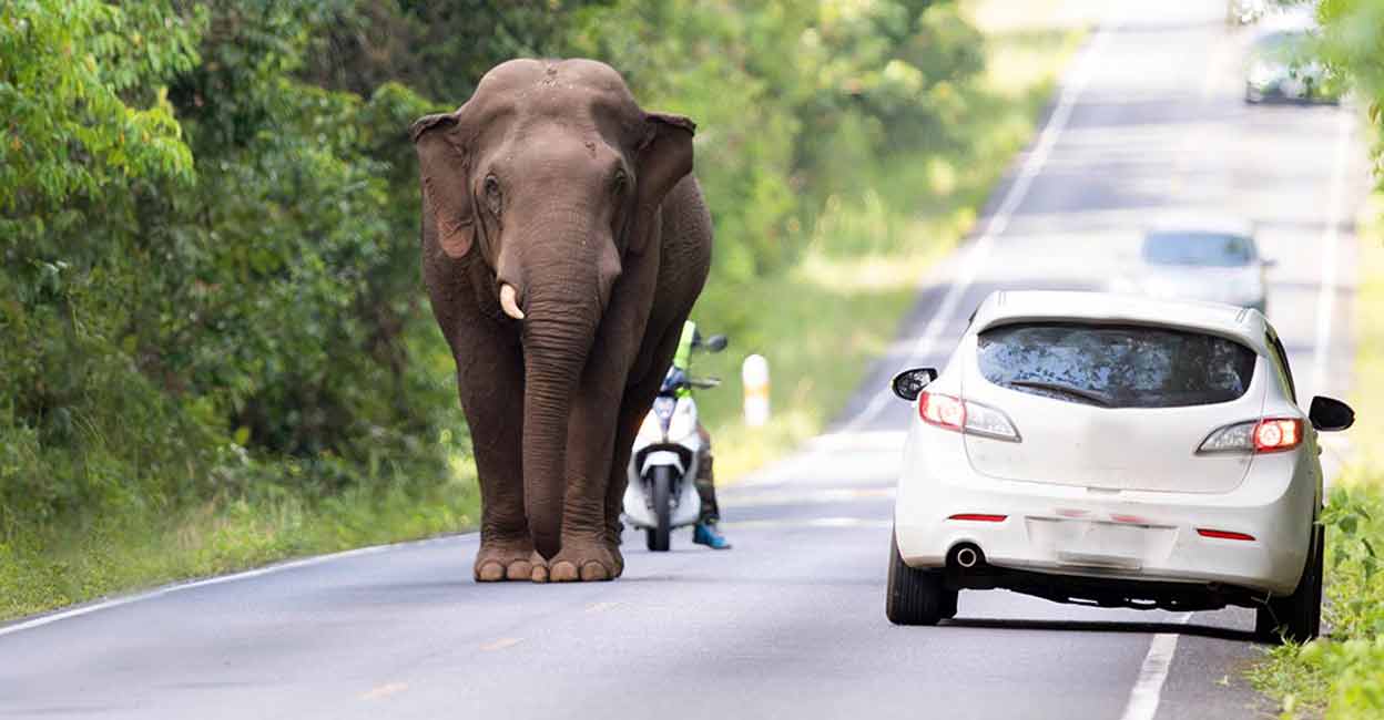 Representative image/Shutterstock/Thipwan