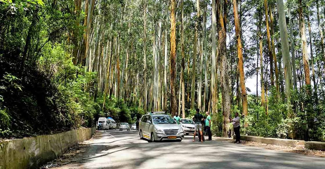 The court order requiring e-passes for tourists coming to Ooty and Kodaikanal was a major setback for vendors and tourists. Photo: iStock/Albin Raj