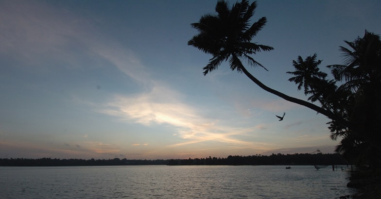 Ashtamudi lake Ashtamudi lake