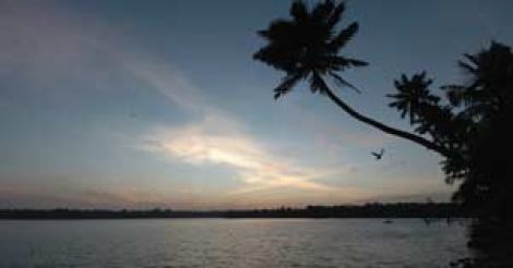 Ashtamudi Lake